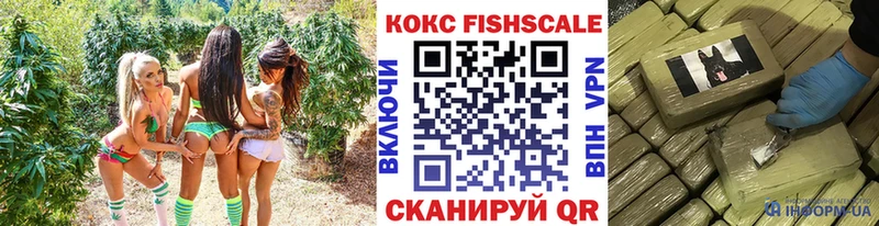 COCAIN VHQ  Купить  Судогда 