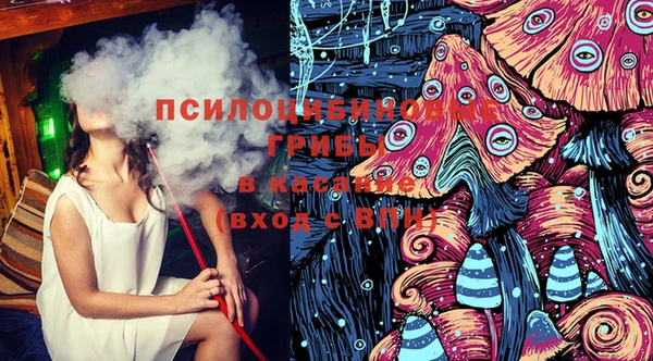тгк Алексин