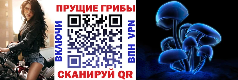 Купить  Судогда  Галлюциногенные грибы ЛСД 